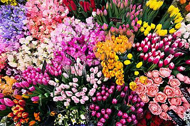 Insomniac《漫威蜘蛛侠2》PC版明年1＆30推出